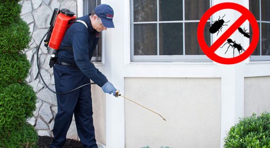 Bozdoğan Kene İlaçlama böcek ilaçlama ve haşere kontrolü — ilaclama-tr.com